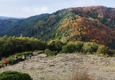 03-10-2024 Sortides Clàssiques. Collformic-Sant Segimon-Viladrau