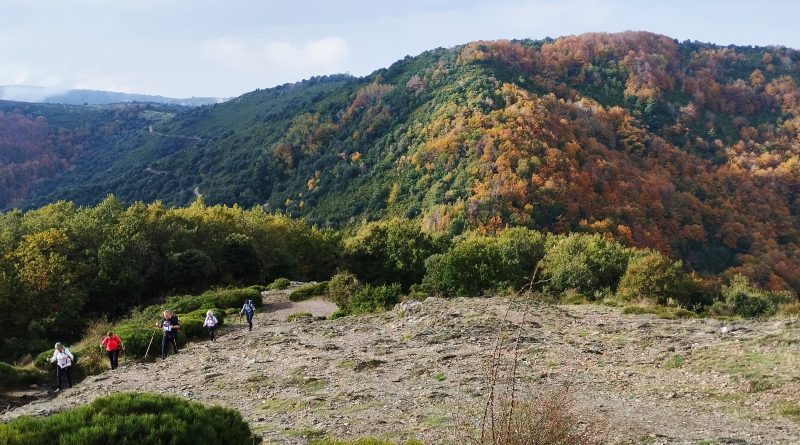 03-10-2024 Sortides Clàssiques. Collformic-Sant Segimon-Viladrau